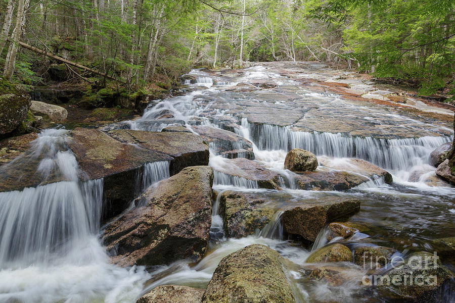 Nature Photograph - Whitehouse Brook - Franconia Notch, New Hampshire by Erin Paul Donovan