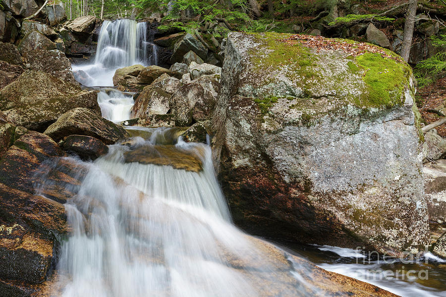 Nature Photograph - Whitehouse Brook - Lincoln, New Hampshire by Erin Paul Donovan