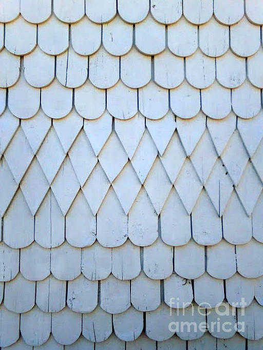 Whitney Plantation Freedmens Church Fish Scales In Wallace Louisiana Photograph by Michael Hoard