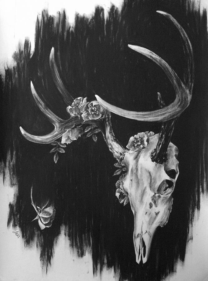 Whitetail and Roses Drawing by Lexi-Shae Brooks - Fine Art America