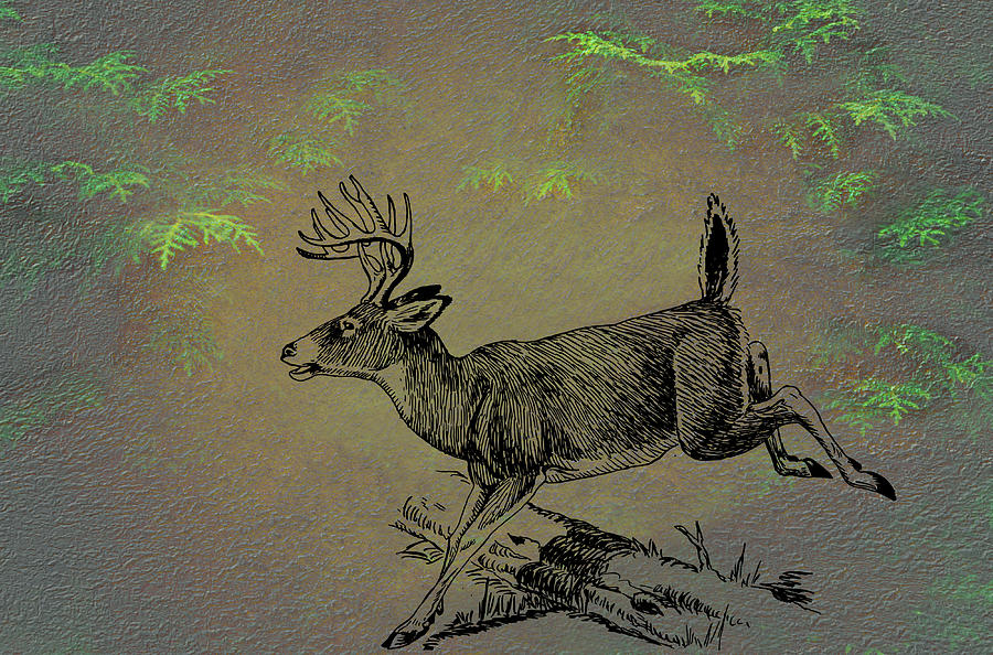Deer Mixed Media - Whitetail Buck by Movie Poster Prints