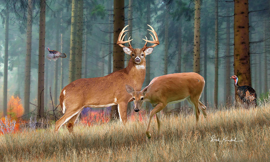 Whitetail Deer Art - King Of The Forest Painting by Dale ...
