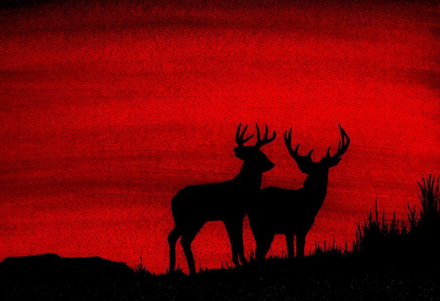 Whitetail Deer at Sunset Painting by Michael Vigliotti - Pixels