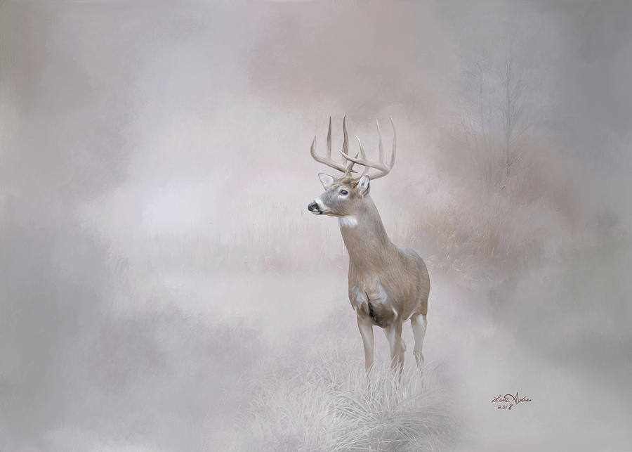 Deer Digital Art - Whitetail Deer in the Fog by Lena Auxier