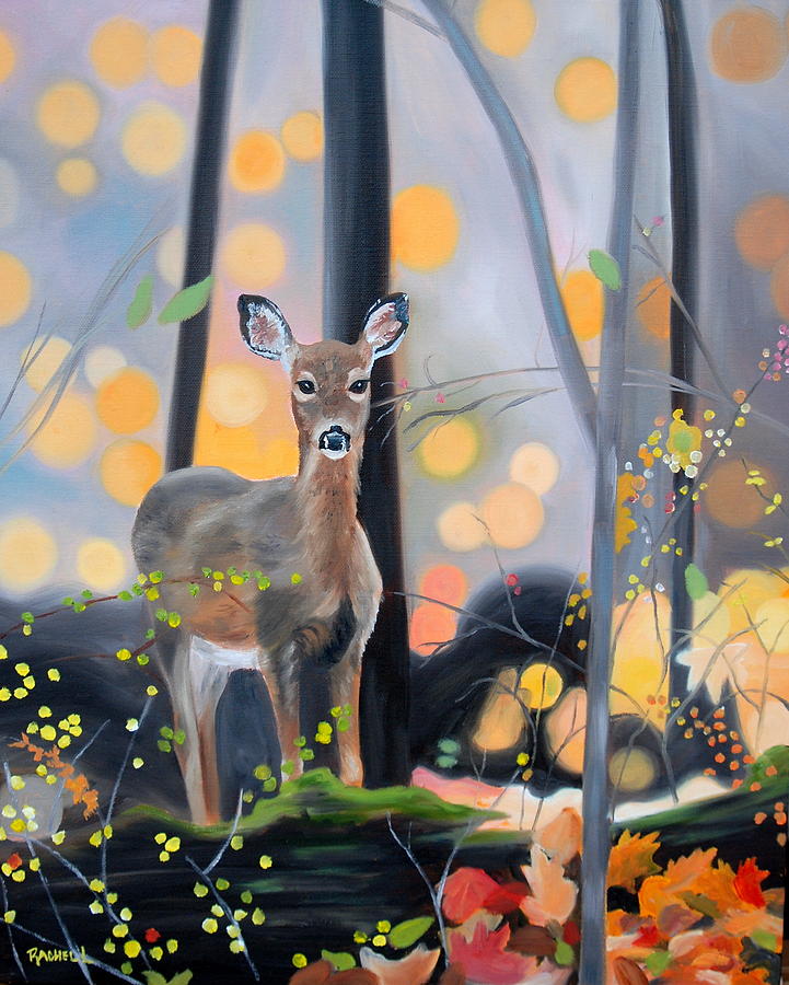 Whitetail Deer Painting by Rachel Lawson