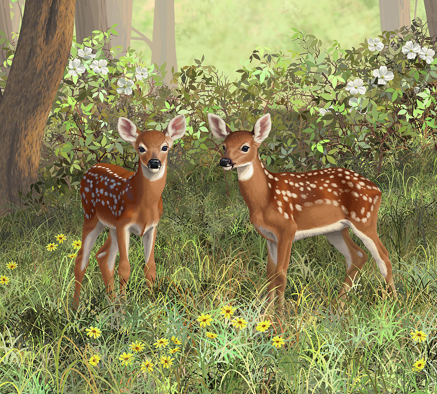 Whitetail Deer Painting - Whitetail Deer Twin Fawns by Crista Forest
