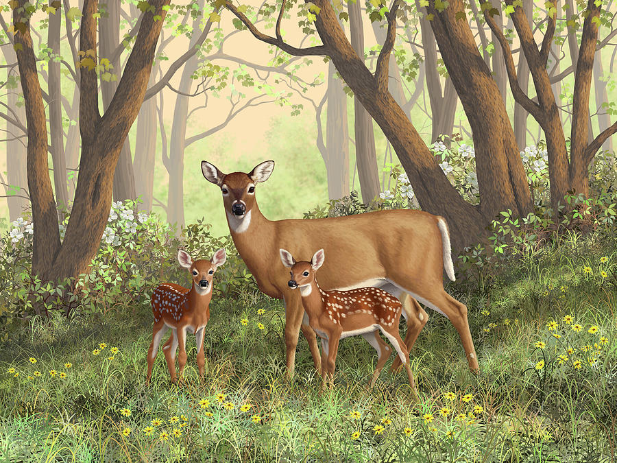 Whitetail Doe and Fawns - Moms Little Spring Blossoms Painting by Crista Forest