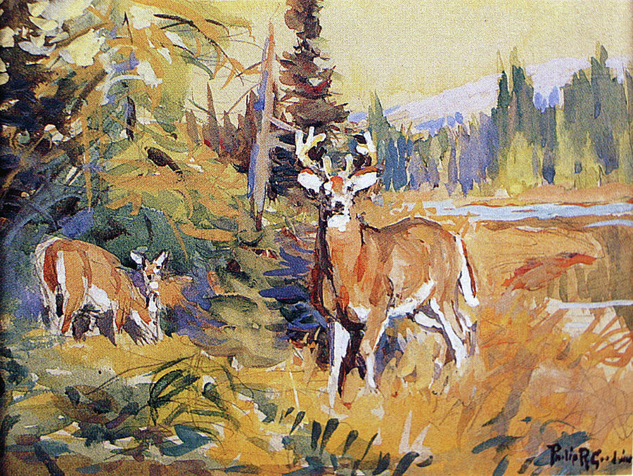 Whitetails By Glade Painting by Philip R Goodwin
