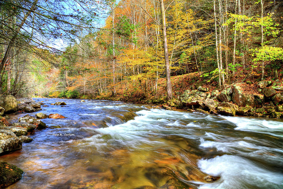 Whitetop Creek Autumn Photograph by Dale R Carlson