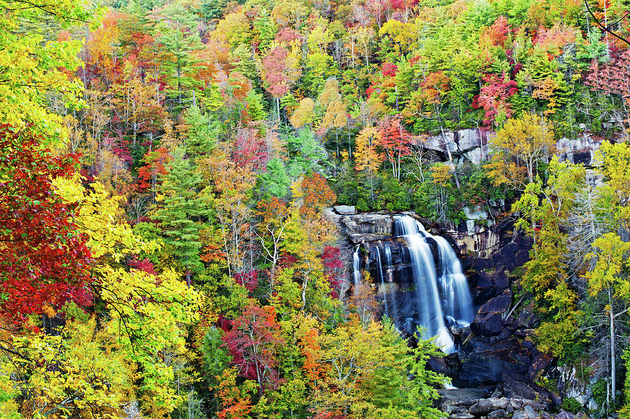 Whitewater Fall and Fall Foliage North Carolina Photograph by Willie
