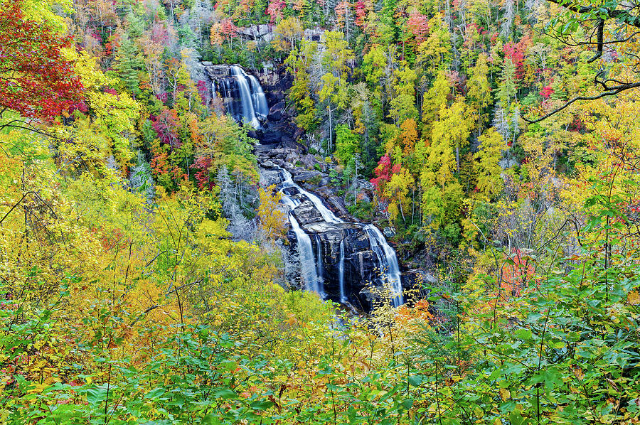Whitewater Falls in Autumn   North Carolina Photograph by Willie Harper