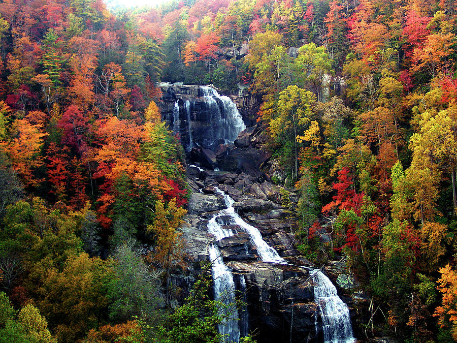 Whitewater Falls in Fall Photograph by Marcia McWhorter | Fine Art America