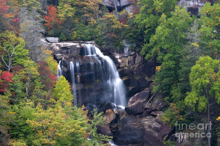 Whitewater Falls in NC Photograph by Jill Lang