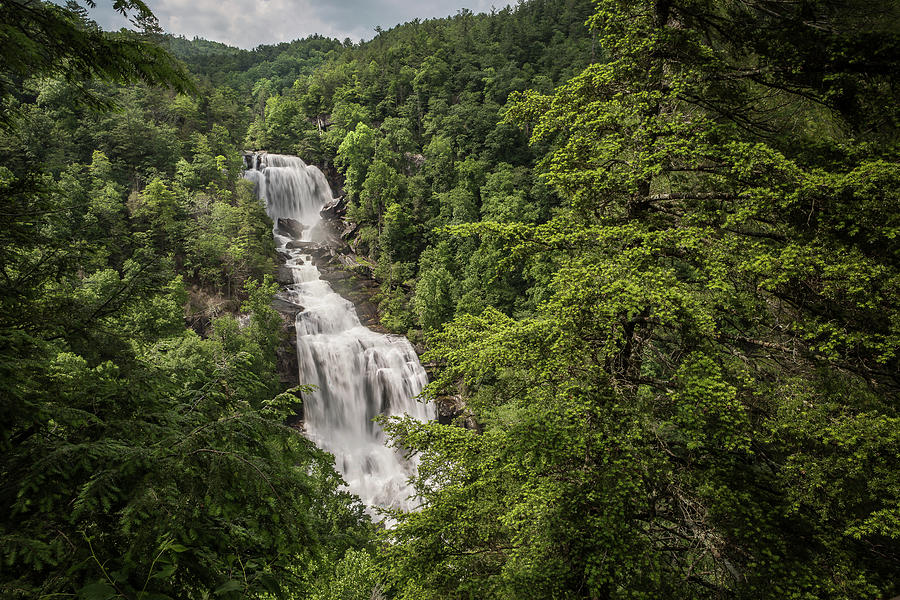 Whitewater Falls Photograph by Randall Evans