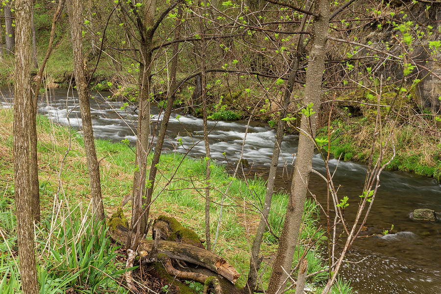 Nature Photograph - Whitewater River Spring 43 by John Brueske