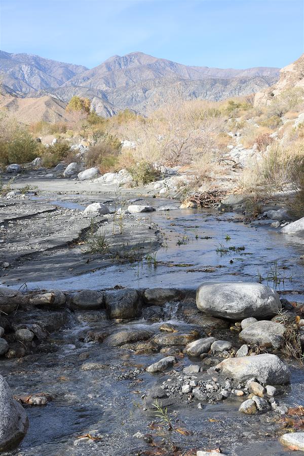 WhiteWater Wash, Palm Springs Photograph by Lisa Dunn
