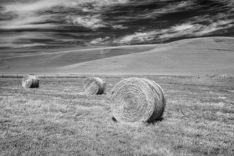 Black And White Photograph - Whitmann County Work by Jon Glaser