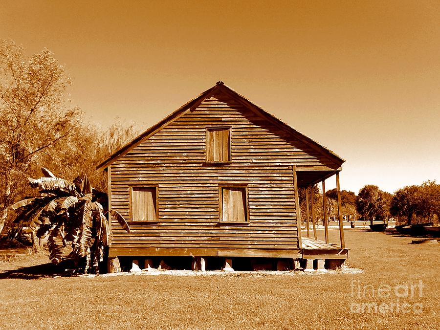 Whitney Plantation Slave Cabin In Wallace Louisiana Photograph By