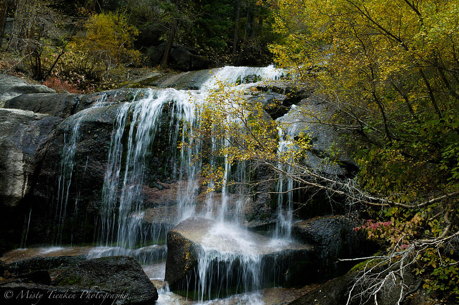 Whitney Portal Waterfall Photograph by Misty Tienken