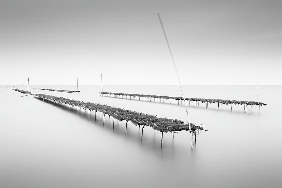 Whitstable Oysters Mono Photograph by Ian Hufton