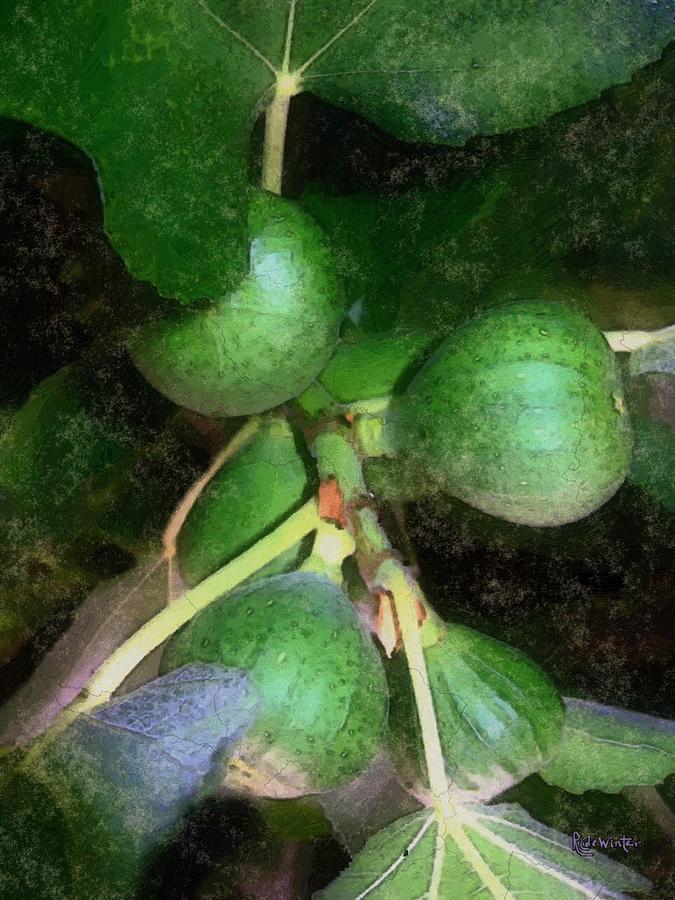 Who Gives a Fig Digital Art by RC DeWinter
