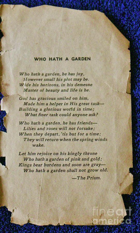 Who Hath A Garden Photograph by Craig Wood