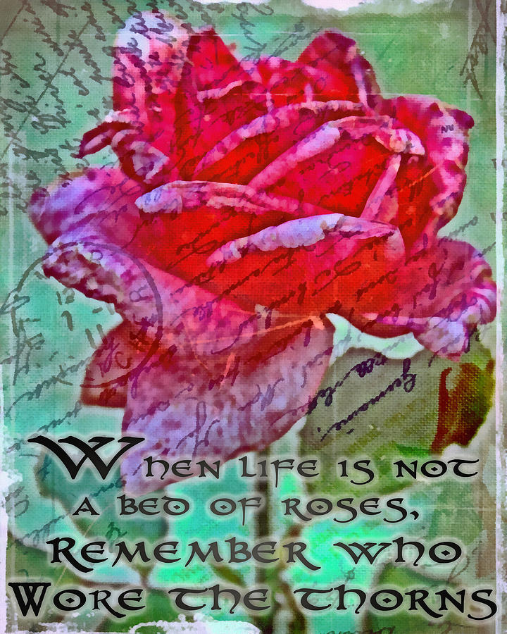 Who Wore The Thorns Digital Art by Michelle Greene Wheeler - Fine Art ...