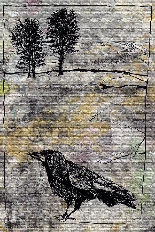 Whole Cloth Crow Drawing by Diana Ludwig