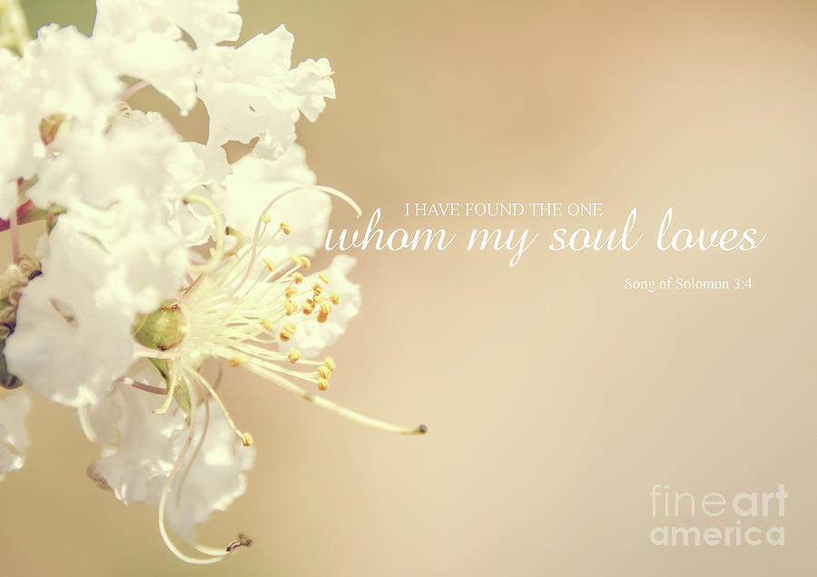 Whom my soul loves Photograph by Andrea Anderegg