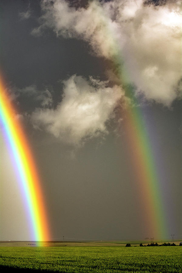 Whoo-hoo 2 Pots of Gold by Brian Duram Whoo-hoo 2 Pots of Gold by Brian Duram