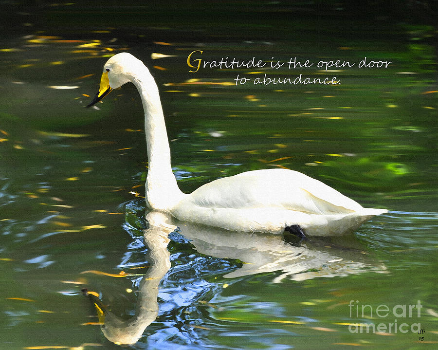 Whooper Swan Gratitude Painting by Diane E Berry