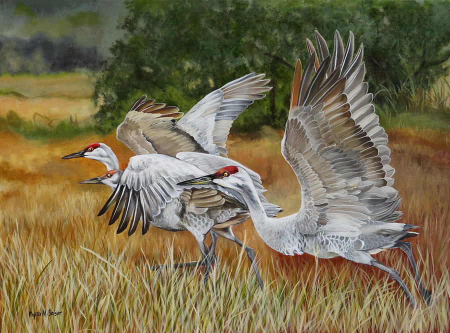 Sandhill Cranes In A Field Painting by Phyllis Beiser