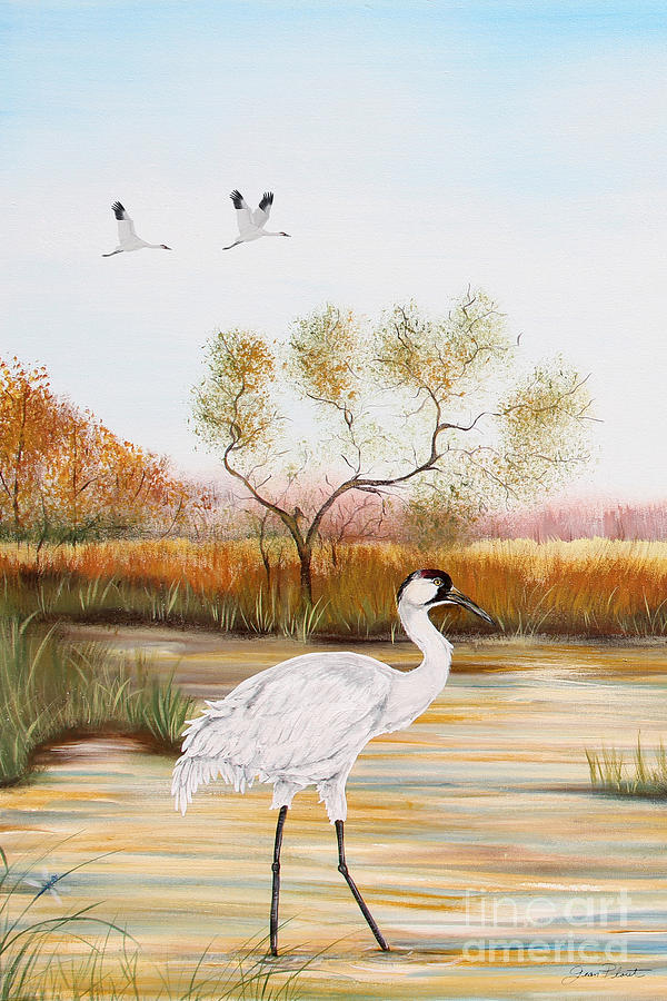 Whooping Cranes-JP3152 Painting by Jean Plout