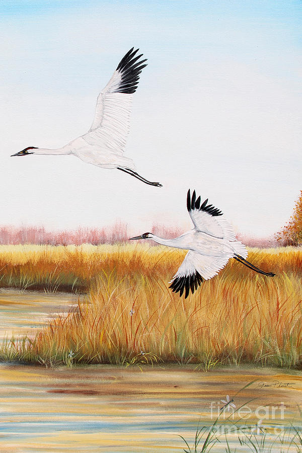 Whooping Cranes-JP3153 Painting by Jean Plout