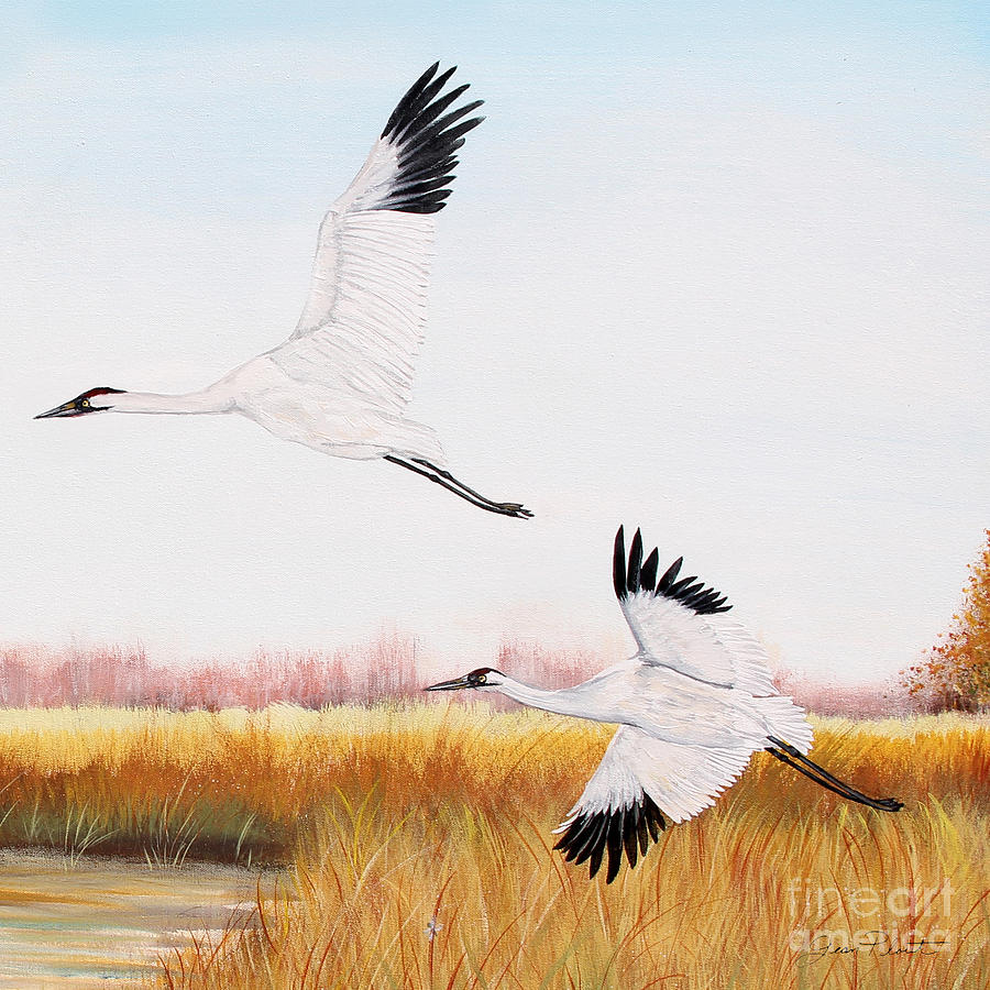 Whooping Cranes-JP3155 Painting by Jean Plout