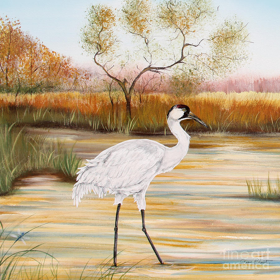 Whooping Cranes-JP3156 Painting by Jean Plout