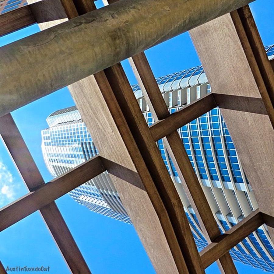 Architecture Photograph - #whplowaltitude, A #view Of A by Austin Tuxedo Cat