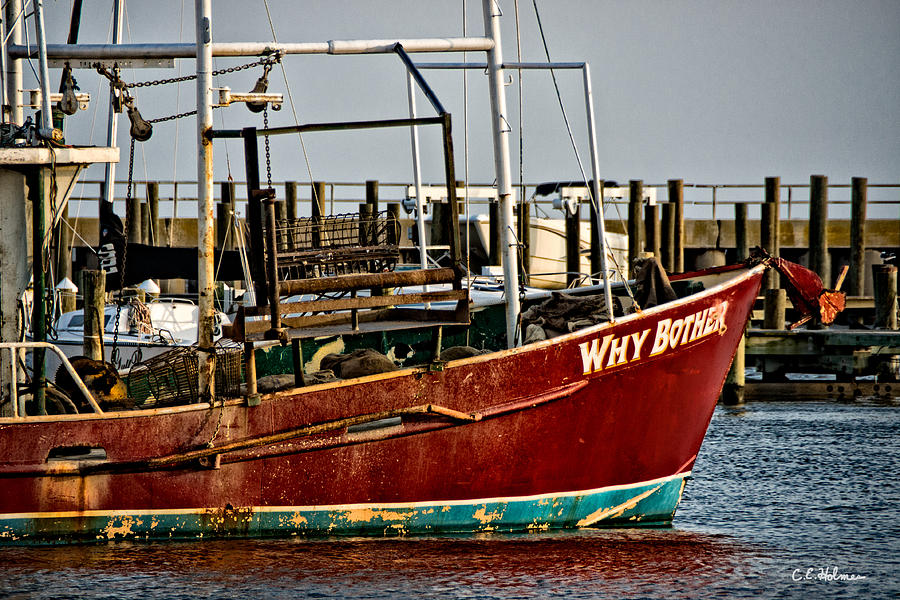 Why Bother Photograph by Christopher Holmes Why Bother Photograph by Christopher Holmes