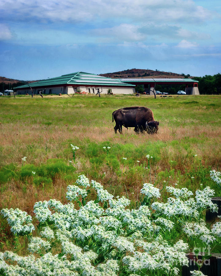 Wichita Mountain Wildlife Reserve Welcome Center Verticle Photograph by Tamyra Ayles