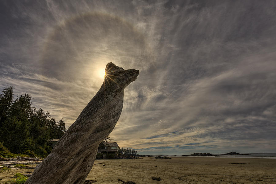 Wickaninnish Beach Sun Halo Photograph by Mark Kiver