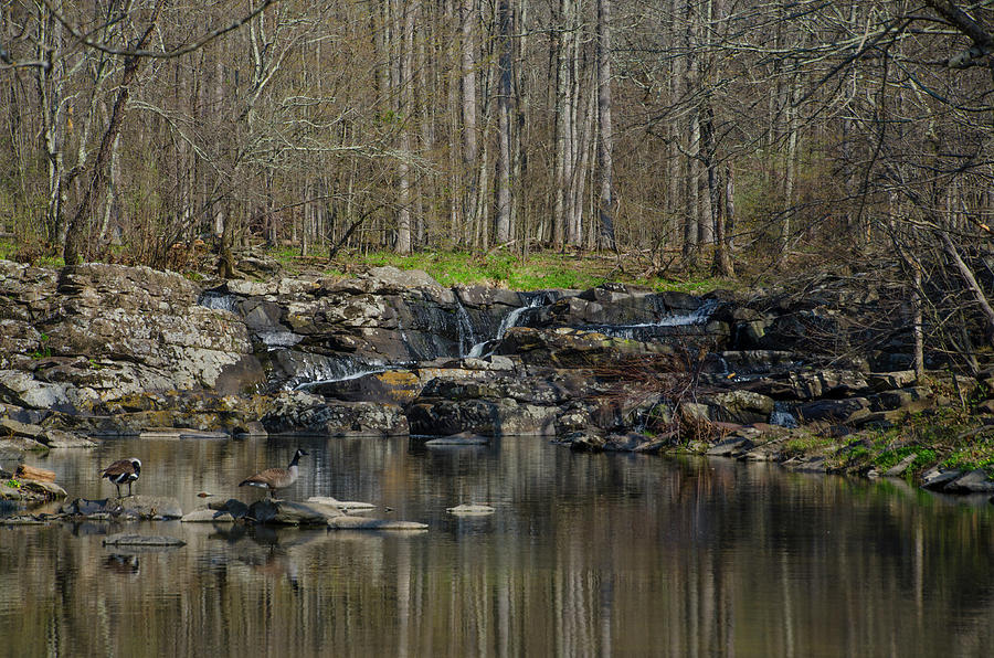  Wickecheoke Creek - New Jersey Photograph by Bill Cannon