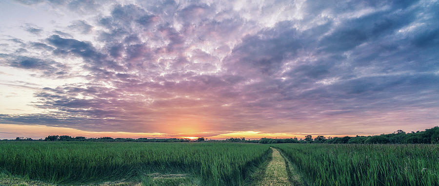 Wicken sky at sunset Photograph by James Billings