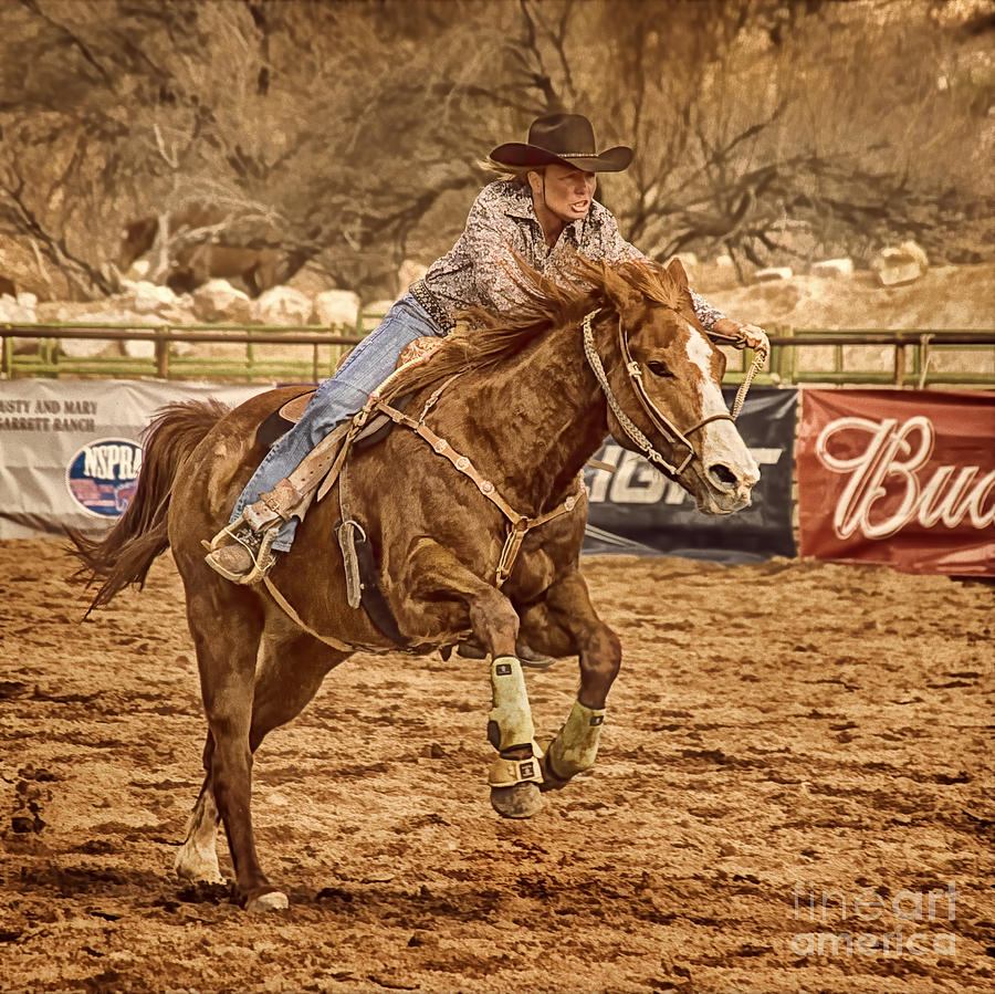 Horse Photograph - Wickenburg Senior Pro Rodeo Barrel Racing by Priscilla Burgers