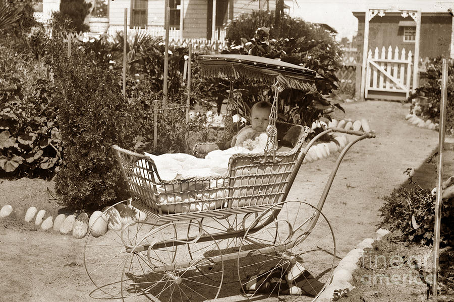 Buggy Photograph - Wicker Baby Stroller by Monterey County Historical Society