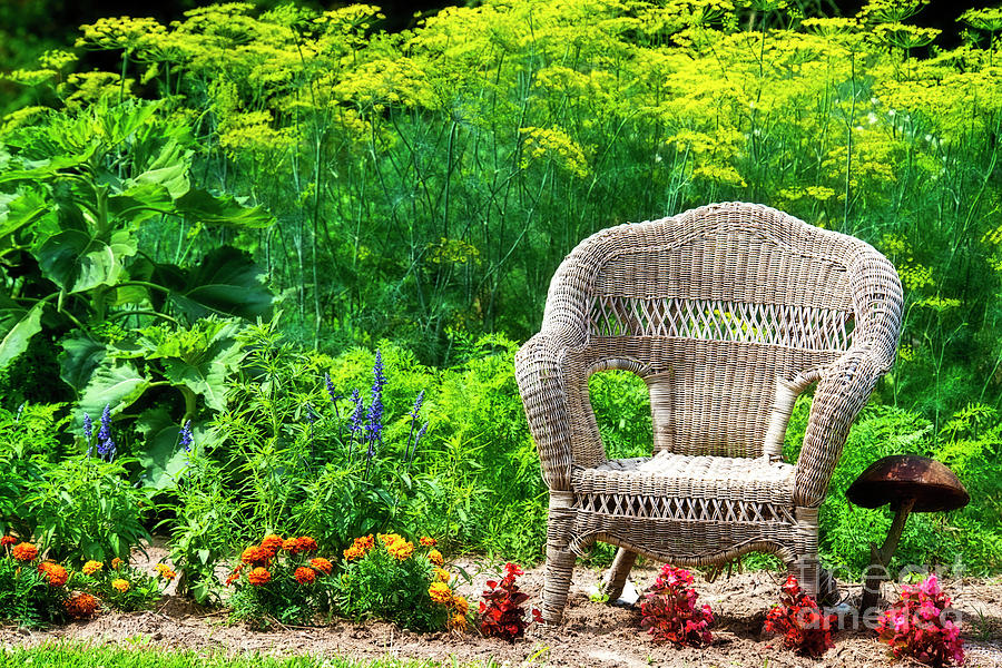 Wicker Chair in Pams 2nd Garden Photograph by David Arment