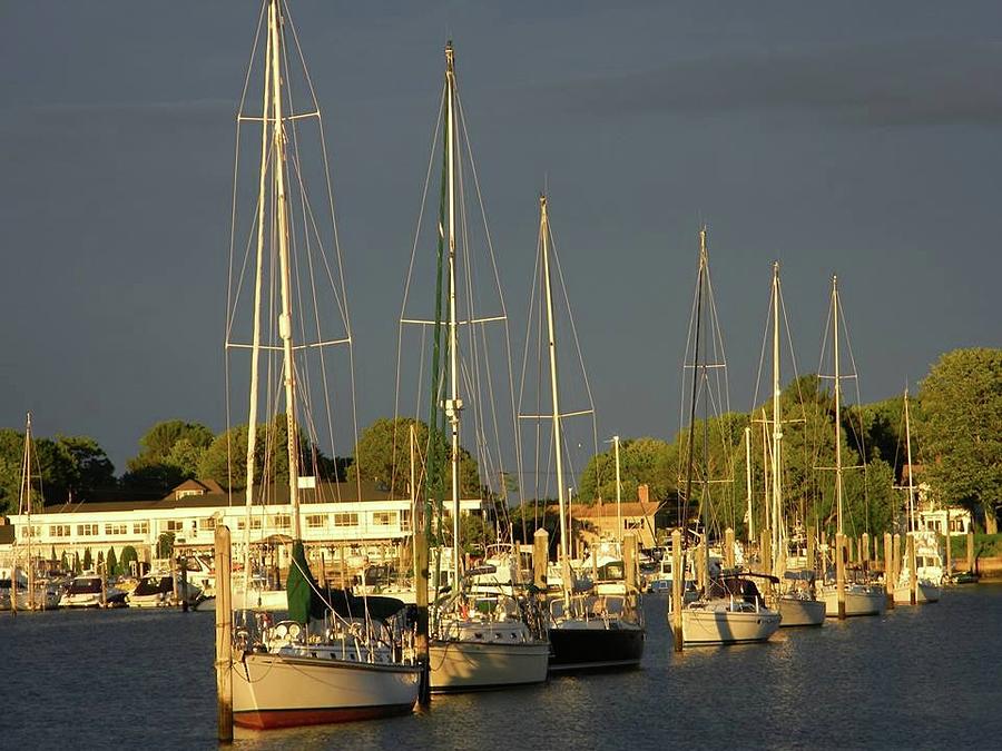 Ocean Photograph - Wickford Harbor by Diane Valliere