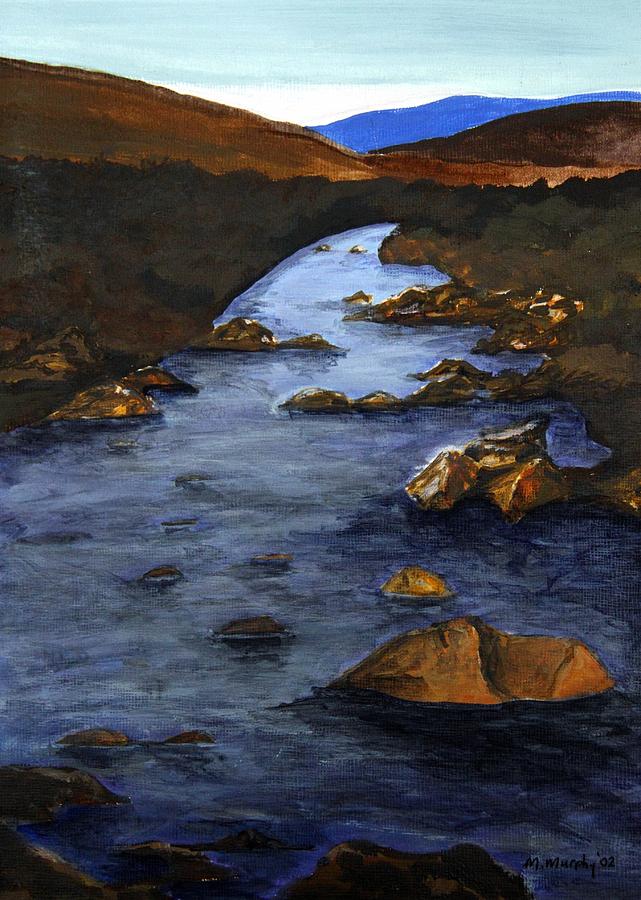 Wicklow Mountain Stream Painting by Martine Murphy