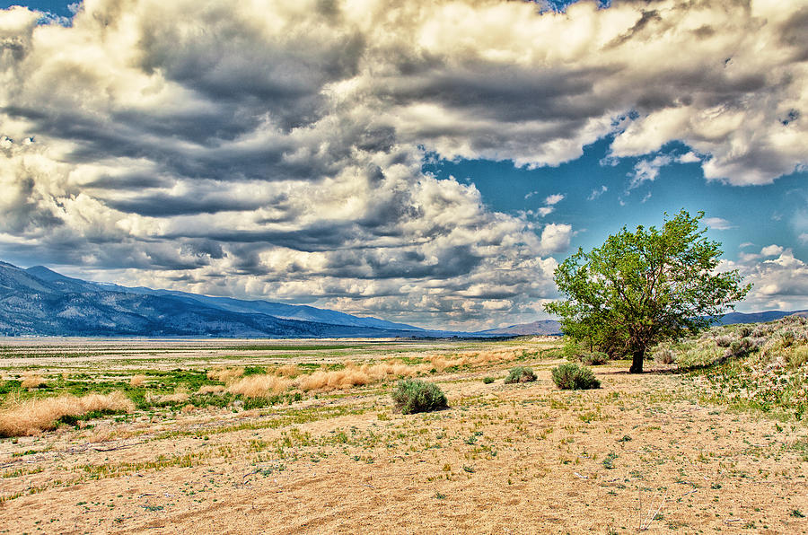A Lone Tree in front of a Dried-Out Lakebed, Mountains and A Dramatic Skyful of Clouds Photograph by Brian Ball