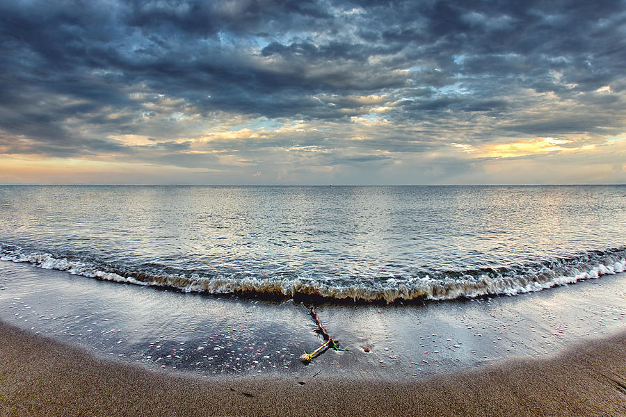 Summer Photograph - Wide Open  by Stelios Kleanthous