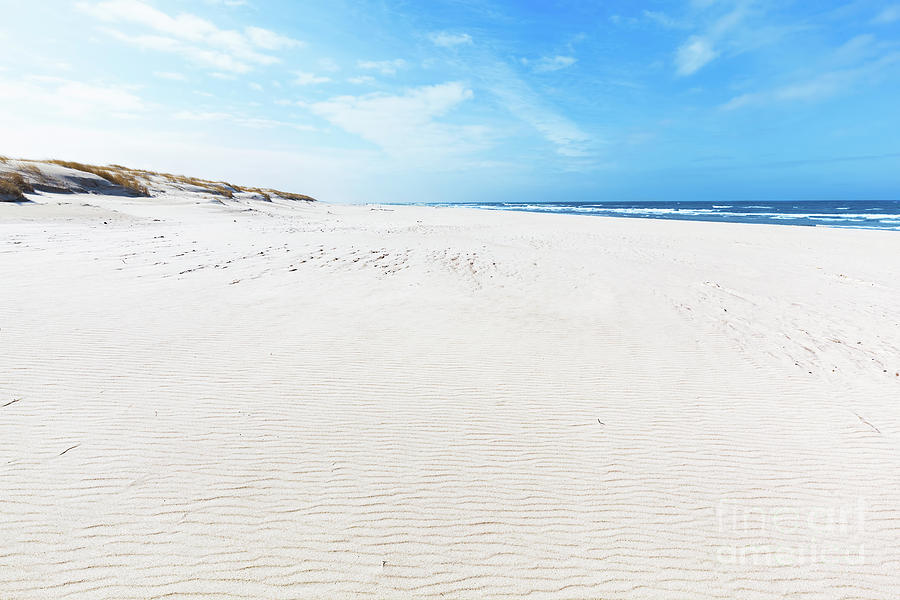 Wide summer beach and dunes in Slowinski National Park, Baltic sea, Poland. Photograph by Michal Bednarek